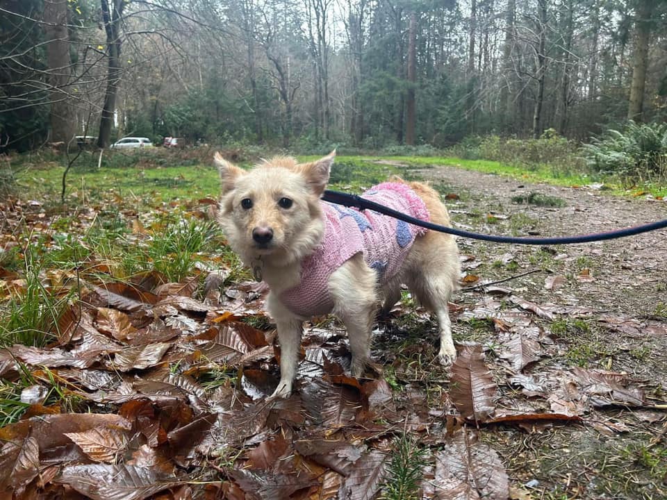 Winnie