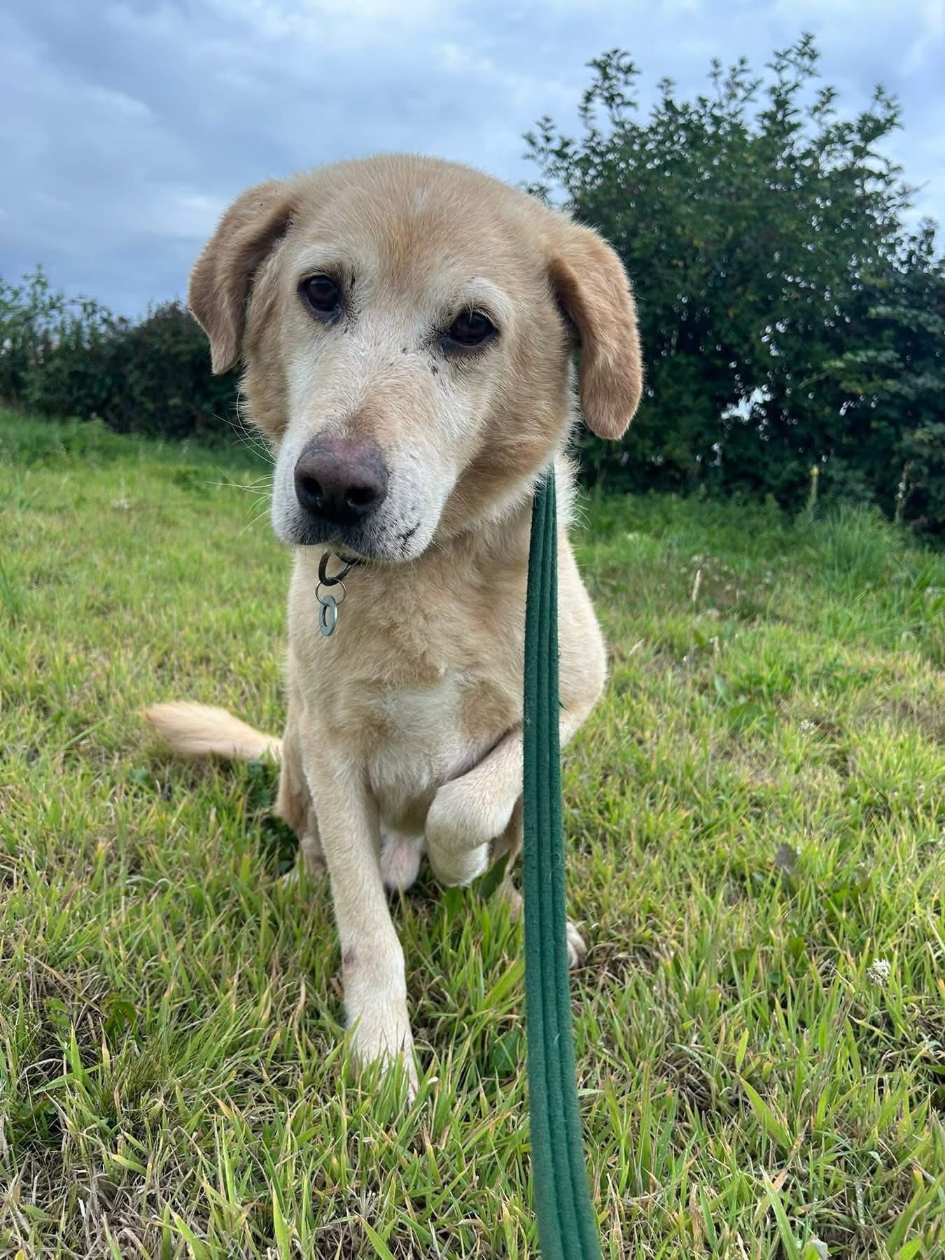 Rupert