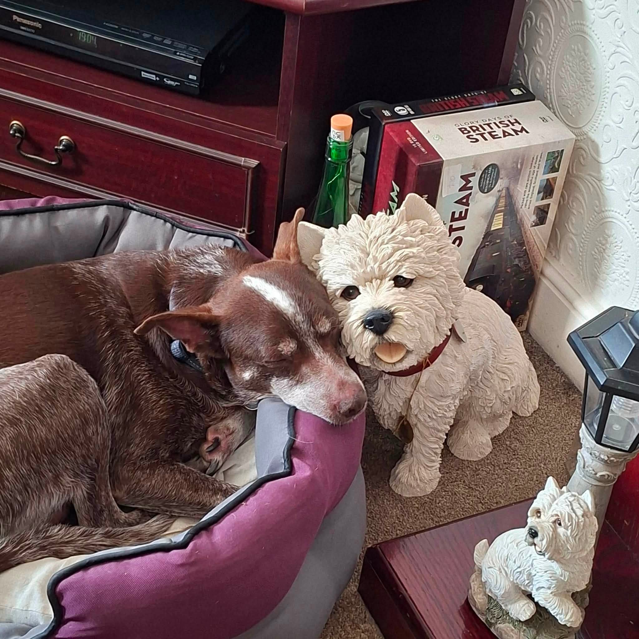 Benji