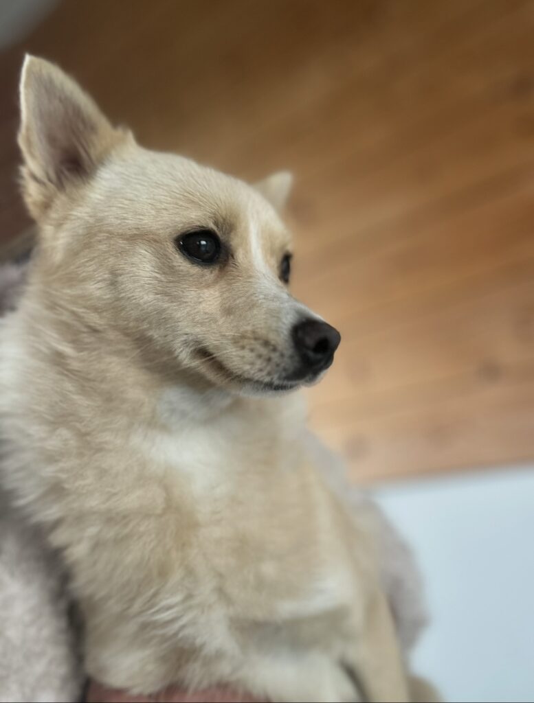 Athena