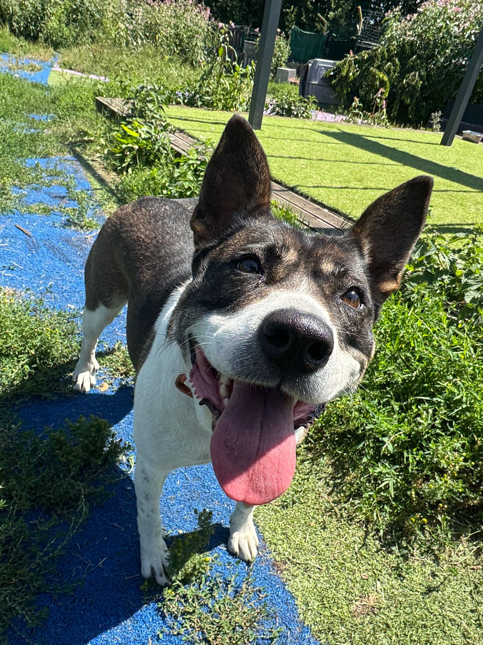 Mia